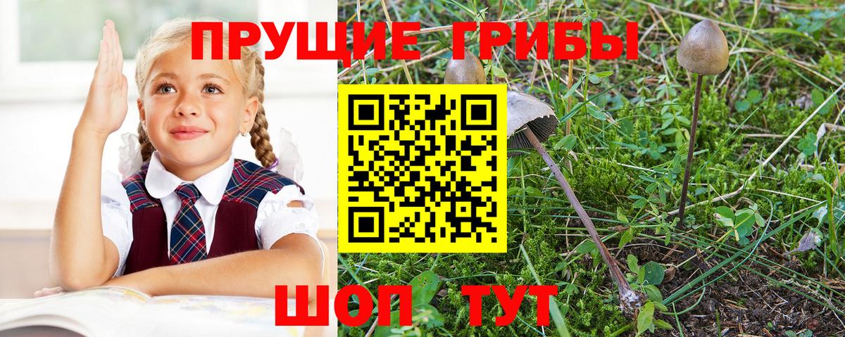 Галлюциногенные грибы Cubensis  где найти   Кинешма  Вход с VPN 