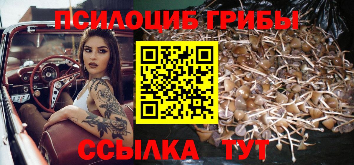 Псилоцибиновые грибы ЛСД Кинешма