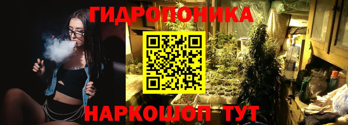 Конопля SATIVA & INDICA  Вход с VPN  Шишки марихуана марихуана  Кинешма  Конопля тримм 